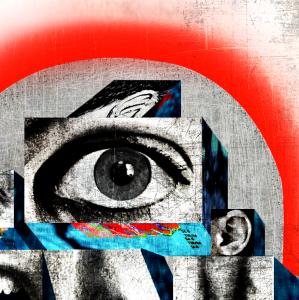 NAR Blind Spots Image